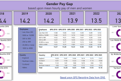 Gender Pay Gap Project