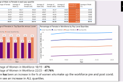 Gender Pay Gap Project
